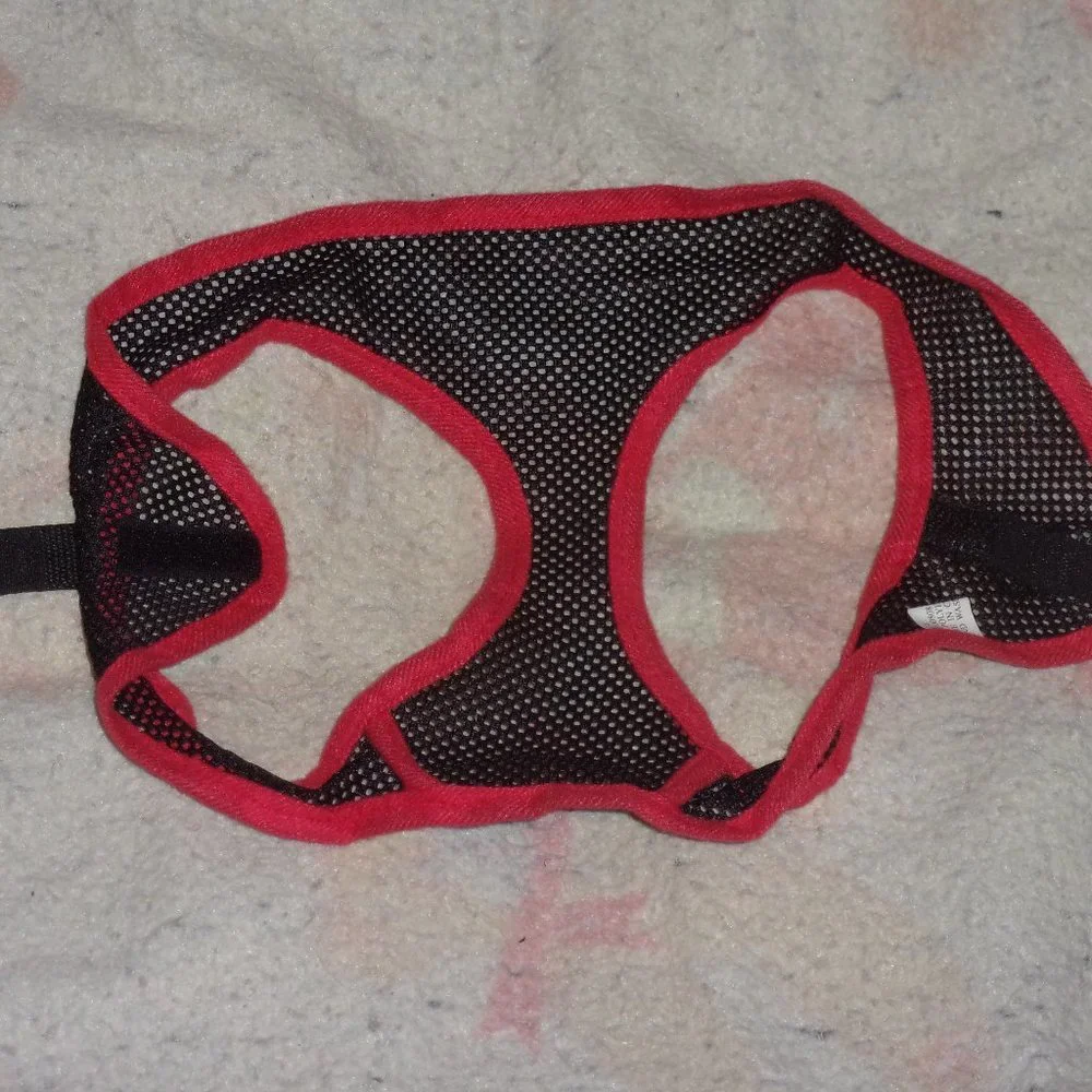 Black and red mesh dog harness and leash with hook and loop closure size large